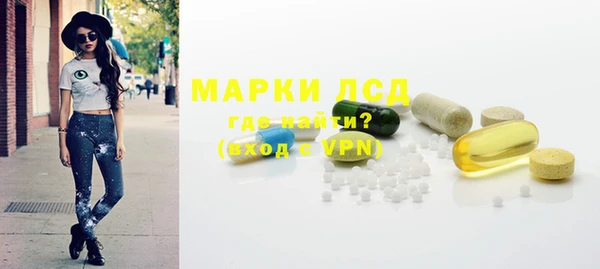 мяу мяу мука Бородино