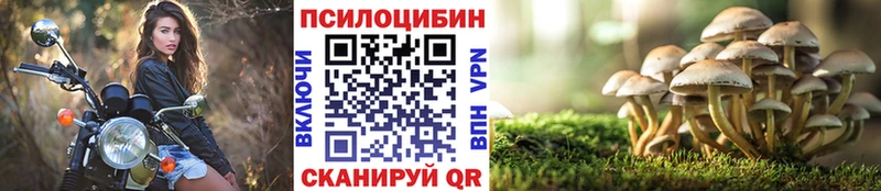 Псилоцибиновые грибы MAGIC MUSHROOMS Красноярск